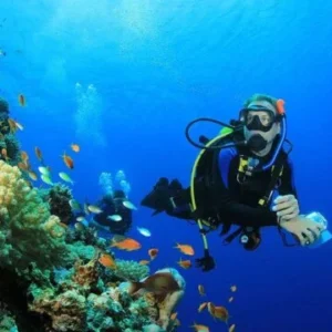 Diving In The Red Sea in Hurghada