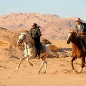 Horse Riding Tours in Sharm El Sheikh