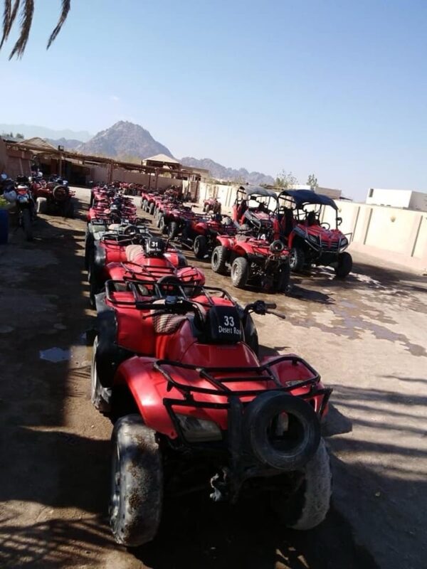 Quad Biking Safari In Sharm El Sheikh