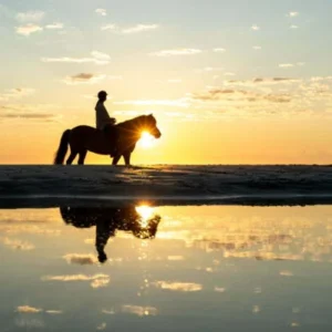 Horse Riding Tours in Hurghada