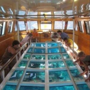 Glass boat trip: $15 per person, including transfer and a bottle of water